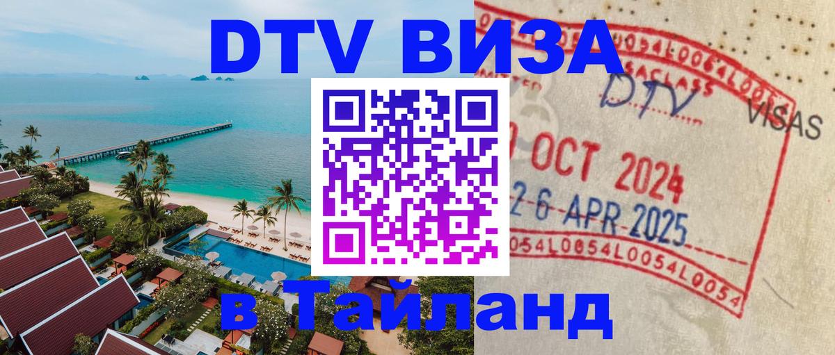 Сколько стоит DTV виза — актуальные цены, оформление даже без документов - Саранск  06.12.2025 